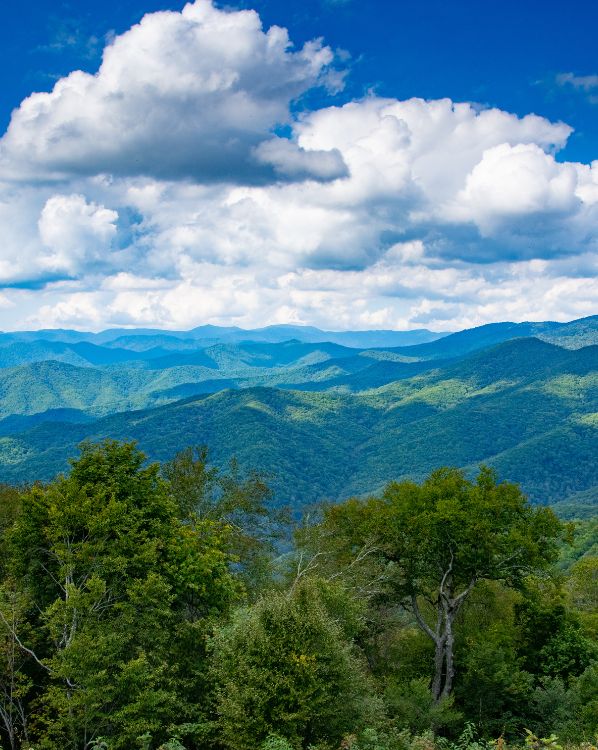 Inspiring Getaways for Senior Travelers Beyond Yellowstone